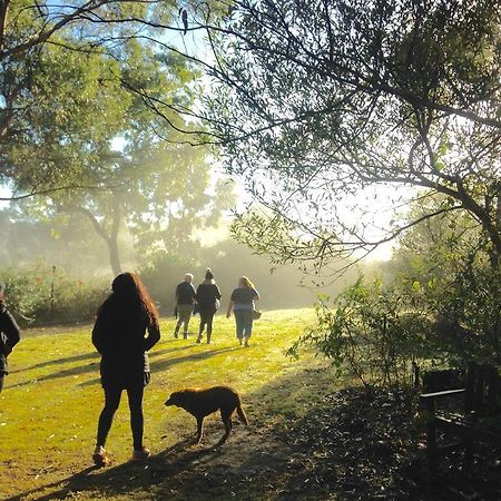 Kurrajong Trails & Cottages Wheeny Creek Bagian luar foto