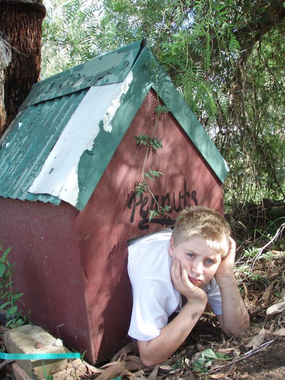 Kurrajong Trails & Cottages Wheeny Creek Bagian luar foto