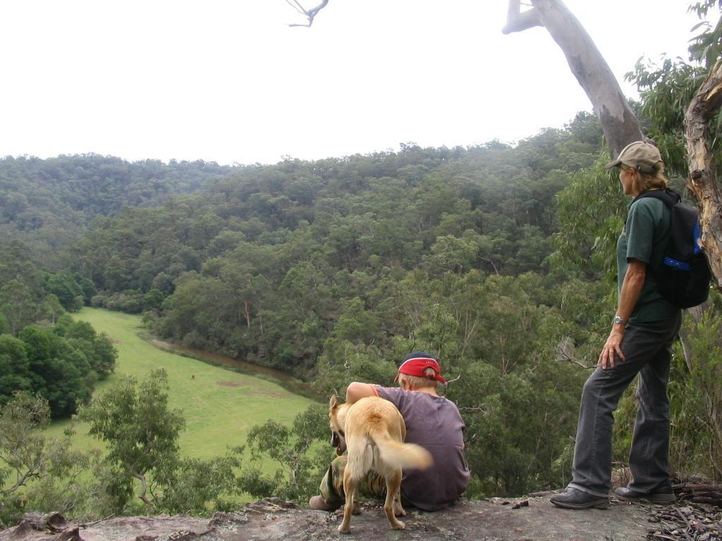 Kurrajong Trails & Cottages Wheeny Creek Bagian luar foto