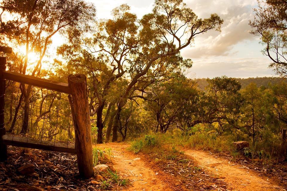 Kurrajong Trails & Cottages Wheeny Creek Bagian luar foto