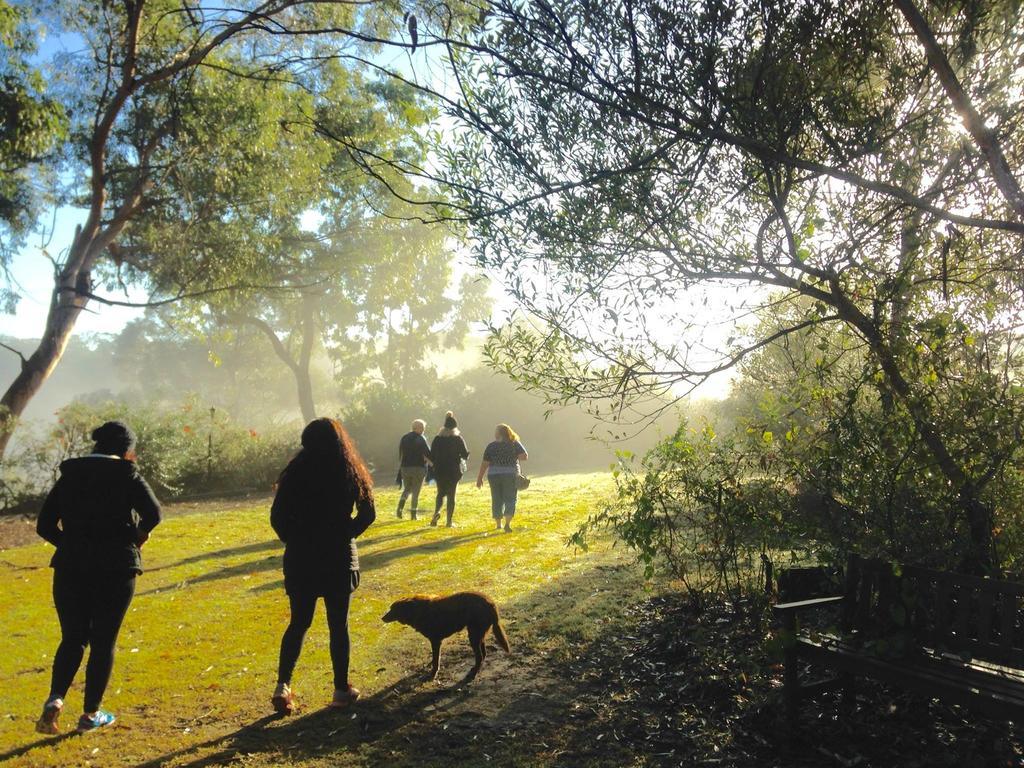 Kurrajong Trails & Cottages Wheeny Creek Bagian luar foto