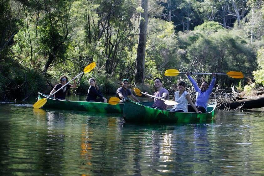 Kurrajong Trails & Cottages Wheeny Creek Bagian luar foto