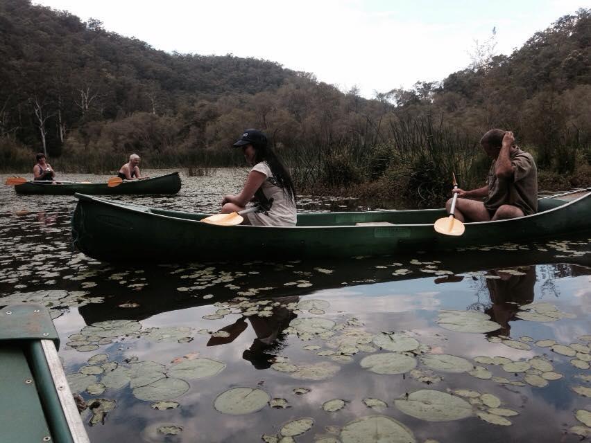 Kurrajong Trails & Cottages Wheeny Creek Bagian luar foto