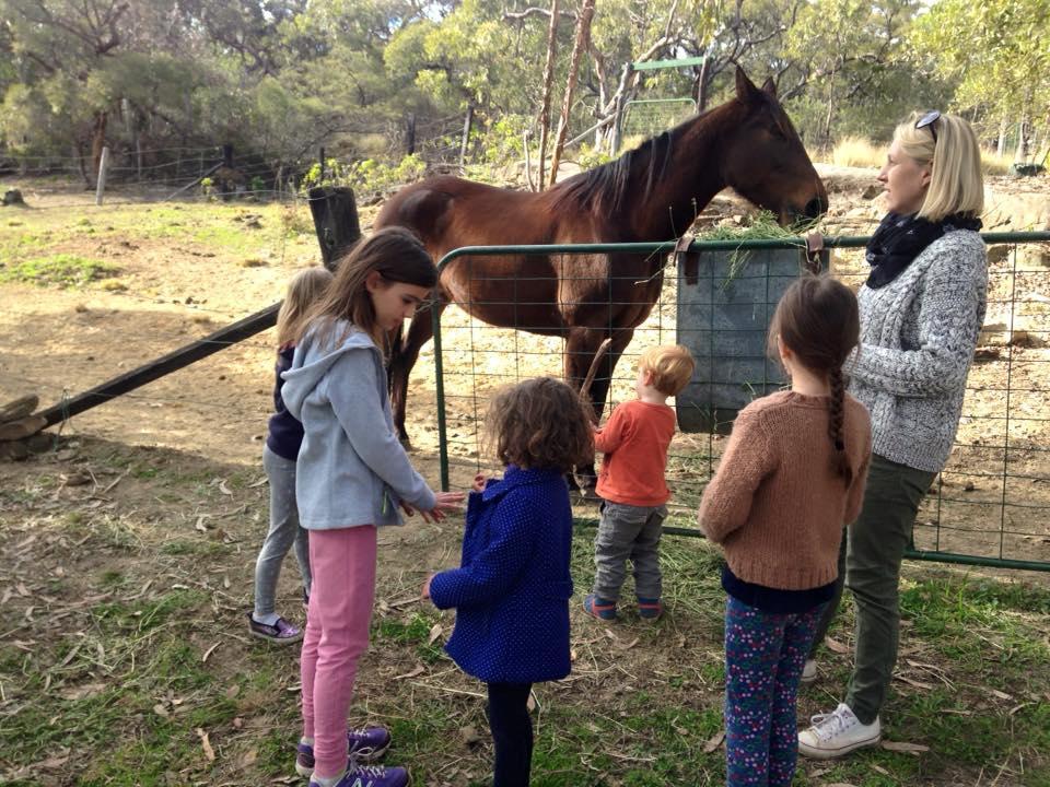 Kurrajong Trails & Cottages Wheeny Creek Bagian luar foto