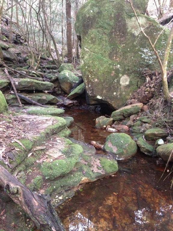 Kurrajong Trails & Cottages Wheeny Creek Bagian luar foto