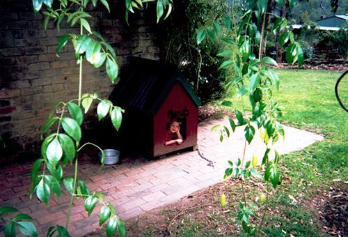 Kurrajong Trails & Cottages Wheeny Creek Bagian luar foto